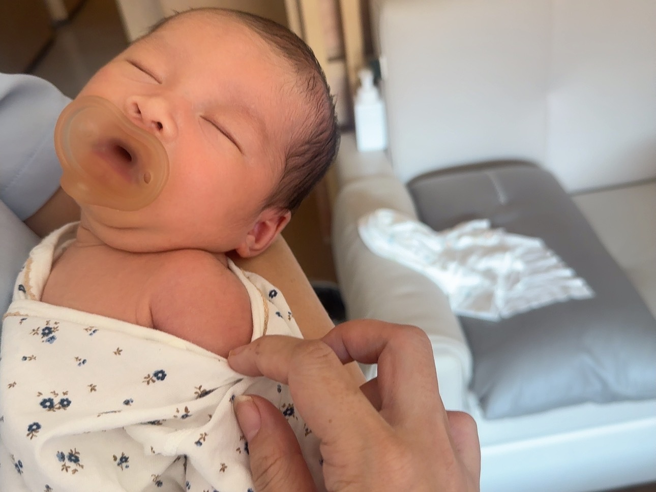 鼠的黄疸快好啦 也许会变回白鼠（会晒黑的 白皮底子晒出来的黑皮好看 ​​​