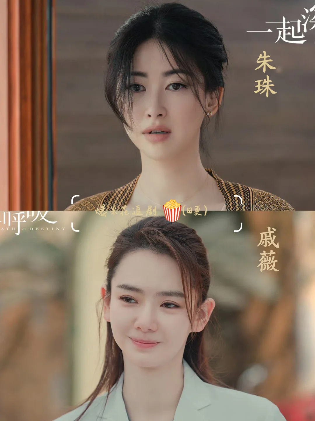 已播‼️悬疑破案剧‼️一口气看完全集