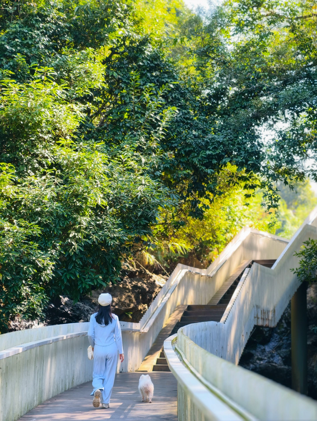 深圳曾经的网红打卡碧道，又恢复了宁静🌳