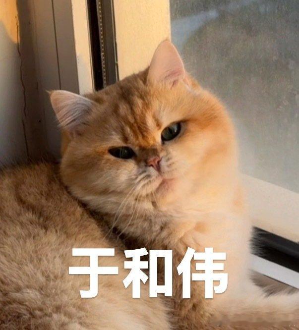 Sry爸爸 我真的很喜欢于和伟 ​