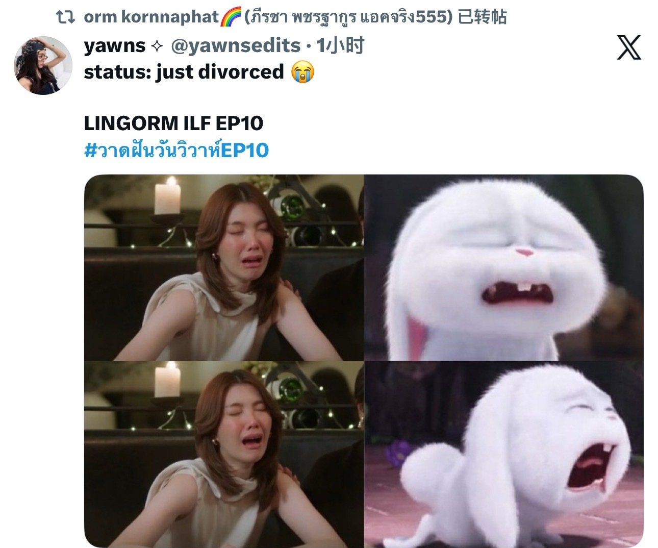 奥推特转发 ​