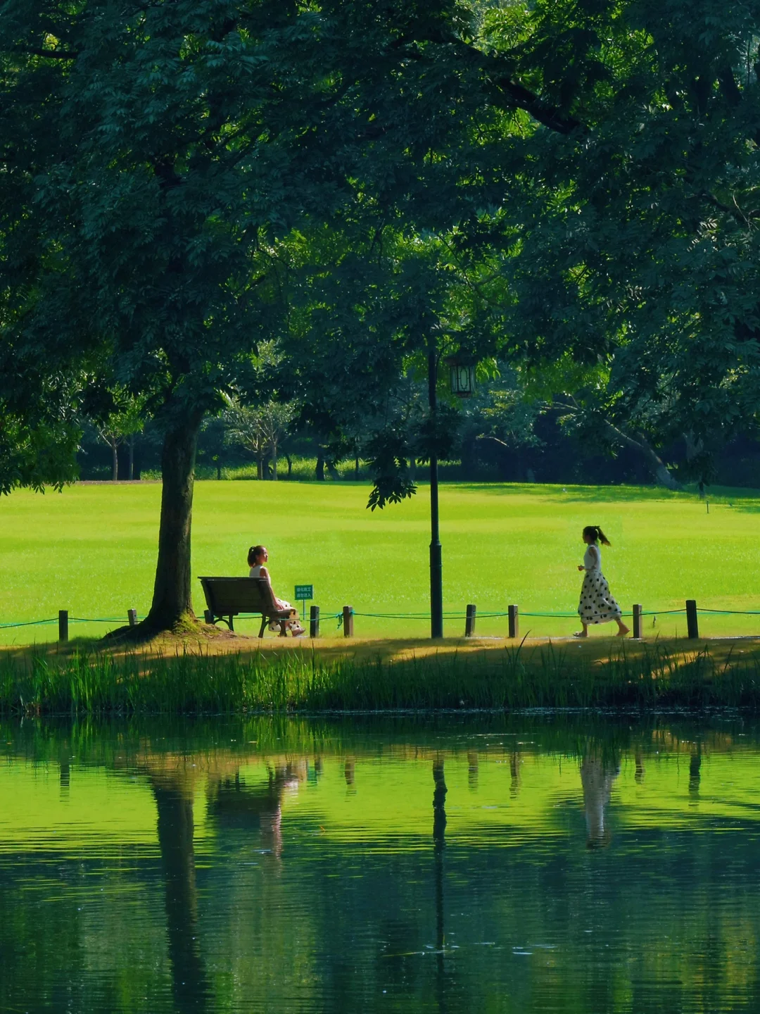 西湖city walk，最适合夏日徒步的清凉路线🍃