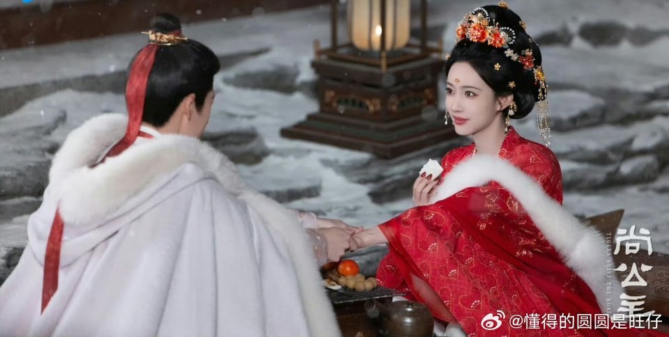 今日《尚公主》连发多组倒计时3天海报，孟子义与李昀锐以“布衣青衫”和“浴血归朝”造型亮相，引发全网对海报质感的讨论。   一、海报发布节点与官方解读- 发布节奏：10月20日作为开播倒计时3天的关键节