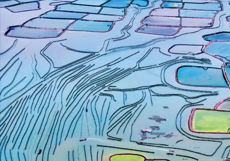 霞浦海岸边的调色盘