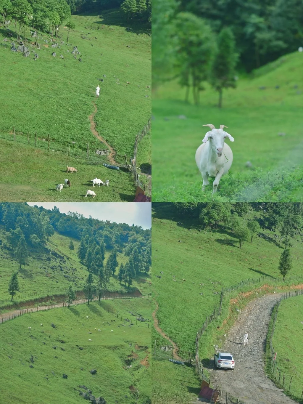 恩施保姆级攻略/被严重低估的宝藏旅行地❗