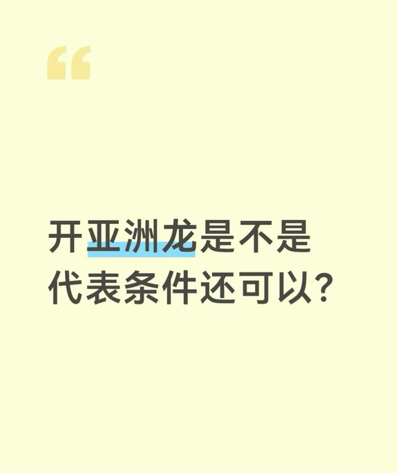 开亚洲龙是不是代表条件还可以？
