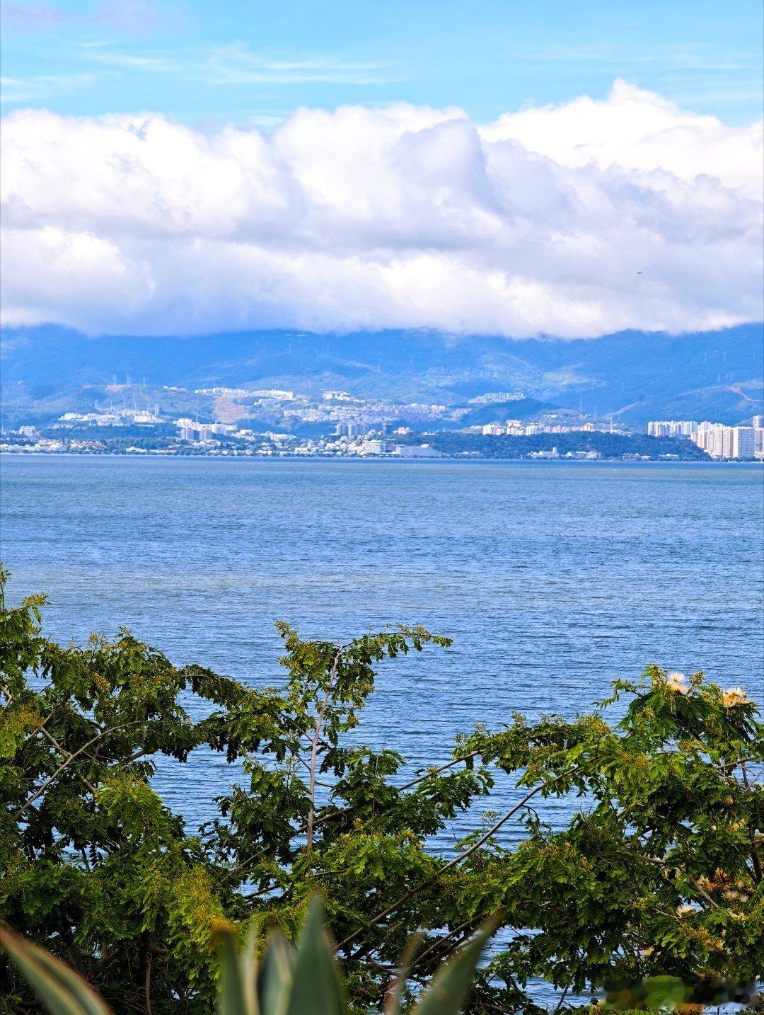 大理副本更新！ 这里的风景真的值得反复奔赴～除了在我没带伞的时候突然下...