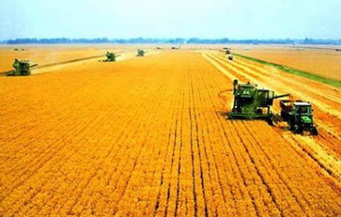 当前我国粮食市场保持总体平稳，粮食安全拥有可靠保障，国内口粮供应充足，可以充分满足民众日常消费需要。
 
很多普通民众刷到国际粮价波动的新闻，心里多多少少会产生一些担忧。国际粮食市场容易被气候变化，地区冲突等因素干扰，价格经常出现剧烈震荡，部分海外国家还出现粮食供给紧张的状况。国内的情况和外部形成明