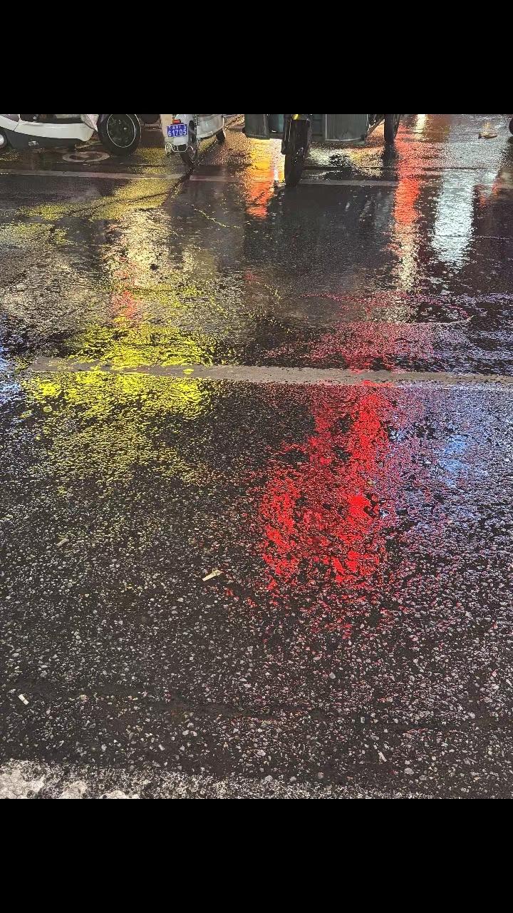 我看见了繁星点点，落在你和我的脚下