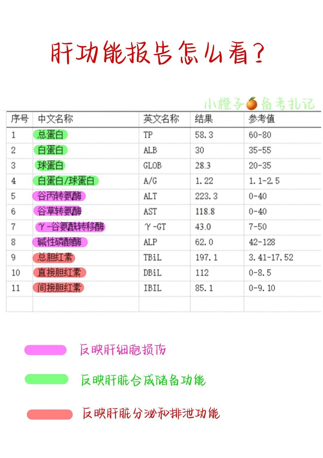 📖护师笔记｜肝功能报告怎么看？🤔️
