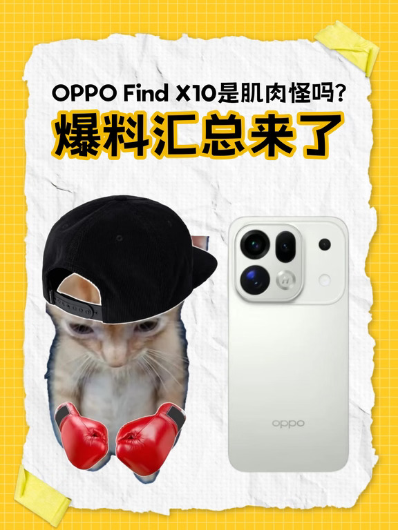 iPhone18标准版没了？不过国产标准版好炸啊
