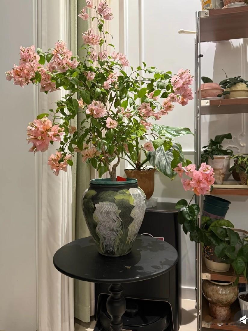 海南封关首日，购物优惠太惊人！         2025年12月18日...