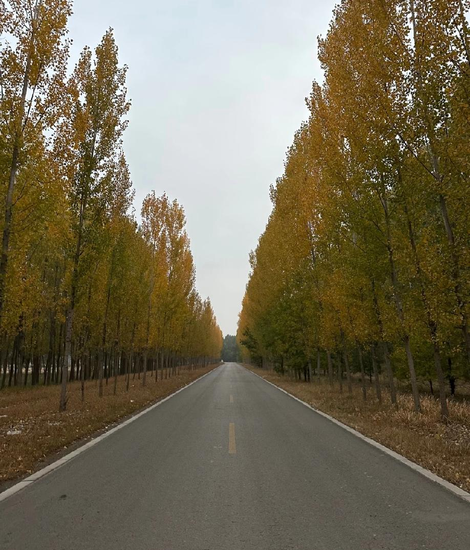 现在男的选对象，真讲究。 二婚的比同居过的还香？ 这事儿得从根上聊聊。...