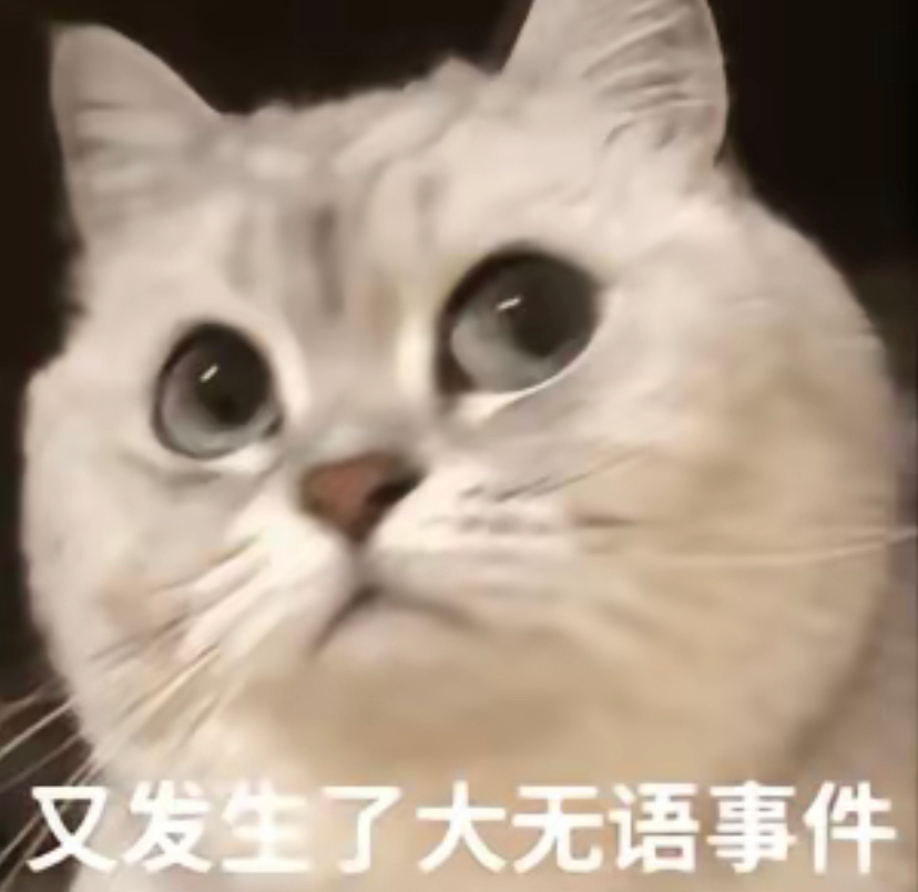 好玩的小猫表情包