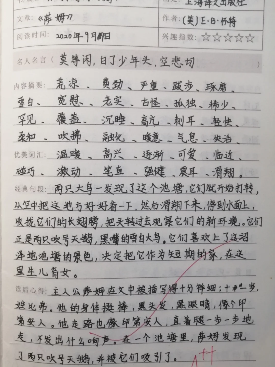 《萨姆》读后感