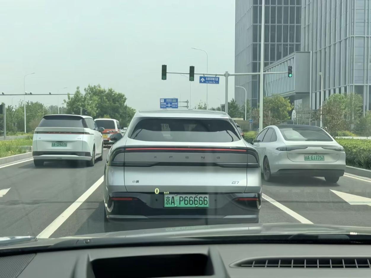 这是什么运气啊