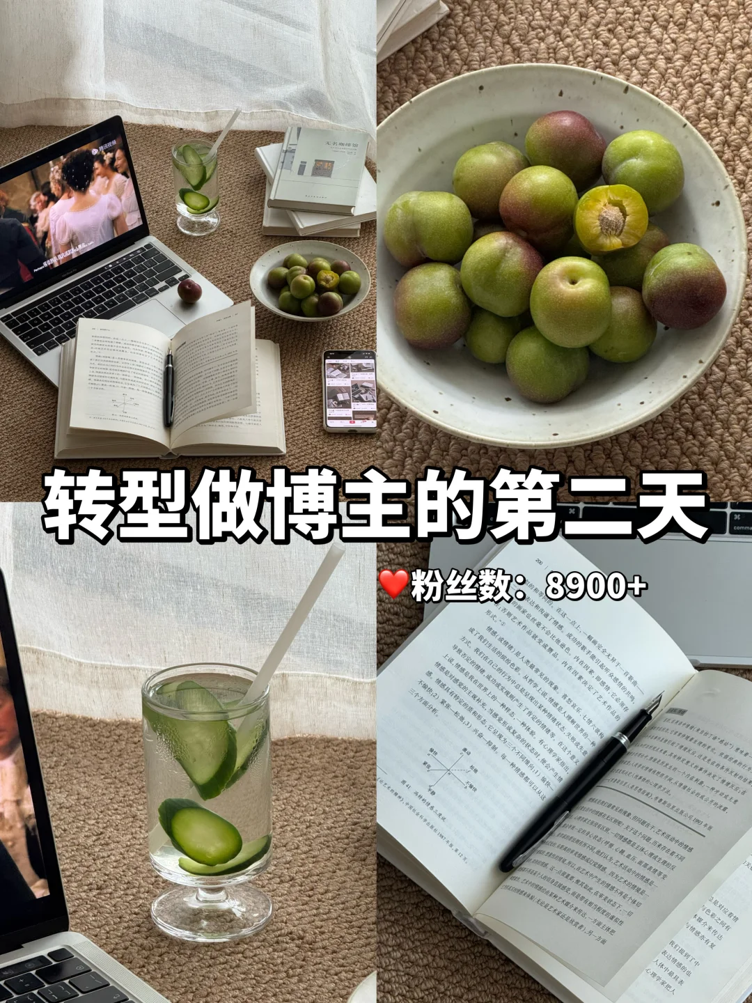 31岁，转型做博主Day2｜先完成，再完美！🔄