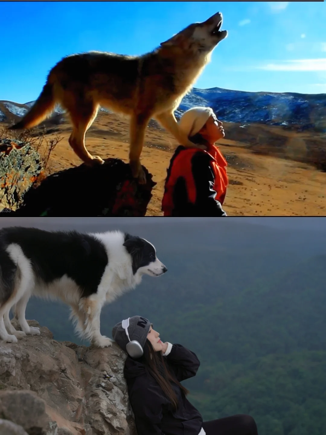 没关系，我有我的格林。