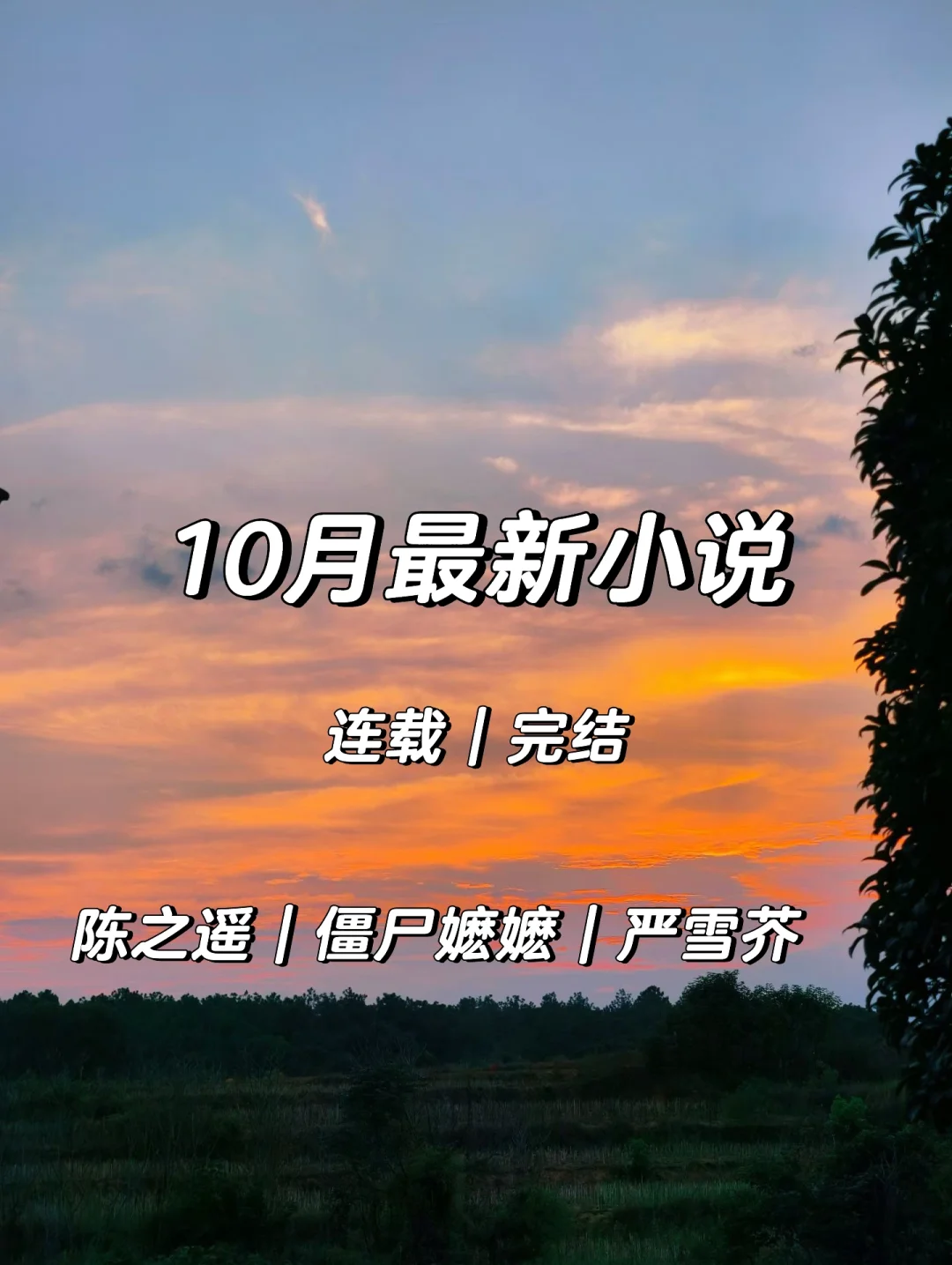 🔟月蕞新连载/完结小说，超好看！