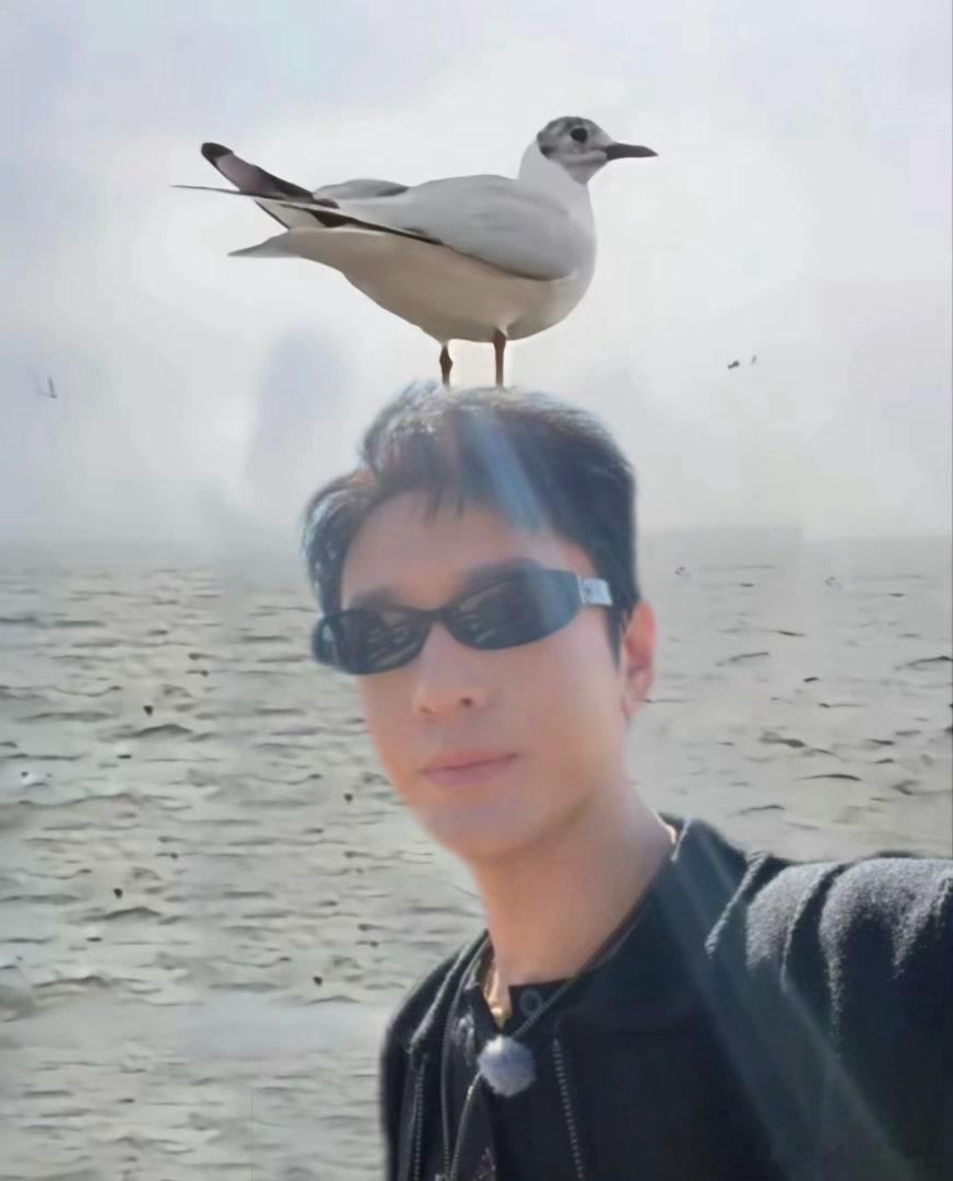 #黄晓明[超话]#  
可是海鸥也为我停留 ​