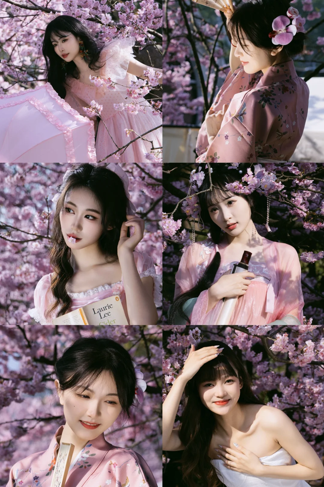 重庆的早樱终于盛开啦❗️美惨了🌈❤️