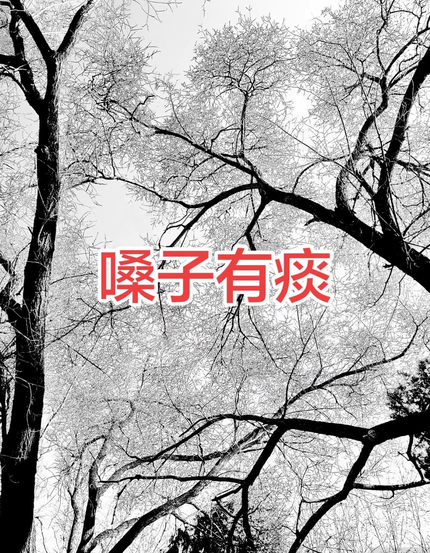 绝境绽放！王曼昱1-2落后惊天逆转，硬生生把队伍拉回悬崖边🔥球不落地永不放弃，曼昱太燃了！🏓 王曼昱 国乒女团