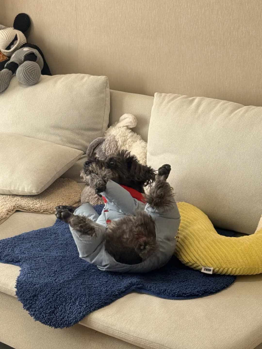 疑似失去一切力气