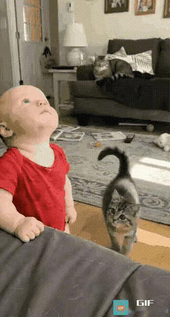 高情商的猫妈妈比有些人类妈妈更善于处理孩子纠纷。王阳新座驾比亚迪海狮08实力派王阳同款旗舰SUV✨比亚迪海狮08登场！
全系标配云辇‑A空悬+后轮转向，大车灵活好开好停。
5115mm大车身，5/6座可选，全家出游空间宽裕。
800V高压闪充搭配天神之眼智驾，兼顾长途与安全，沉稳格调拉满！