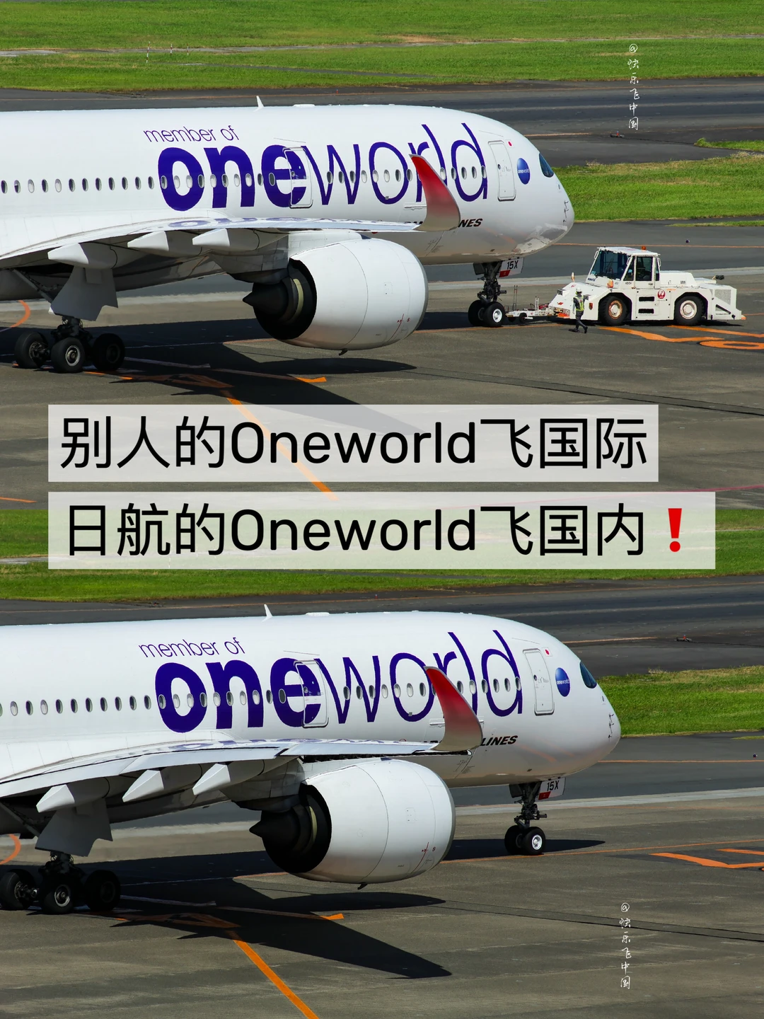 别家Oneworld飞国际，日航Oneworld飞国内❗️