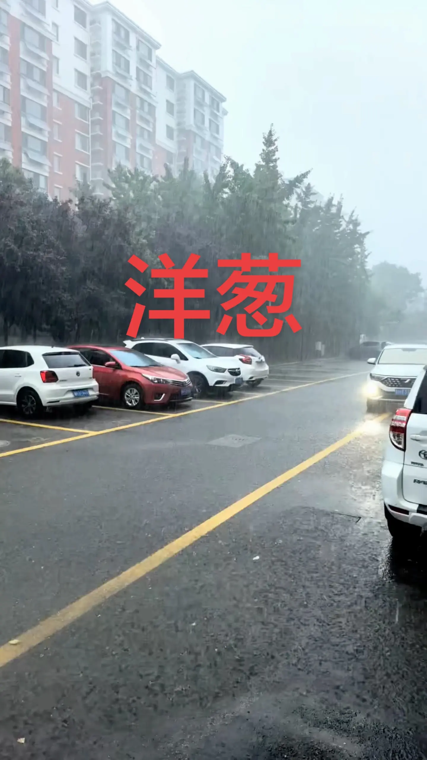 第二届