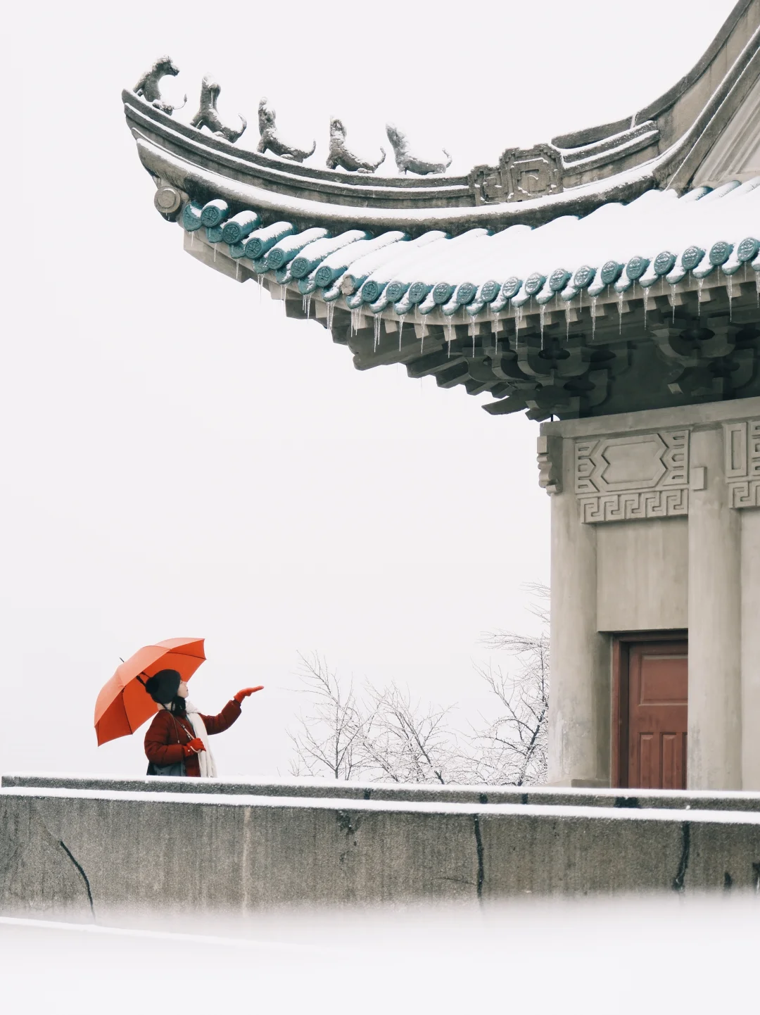 从此以后我逢人便说大雪后的武大有多美❄️