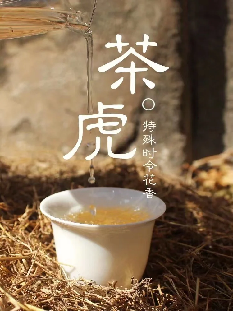 2023年老枞“茶虎” 鲜香浓醇，甘爽醇和