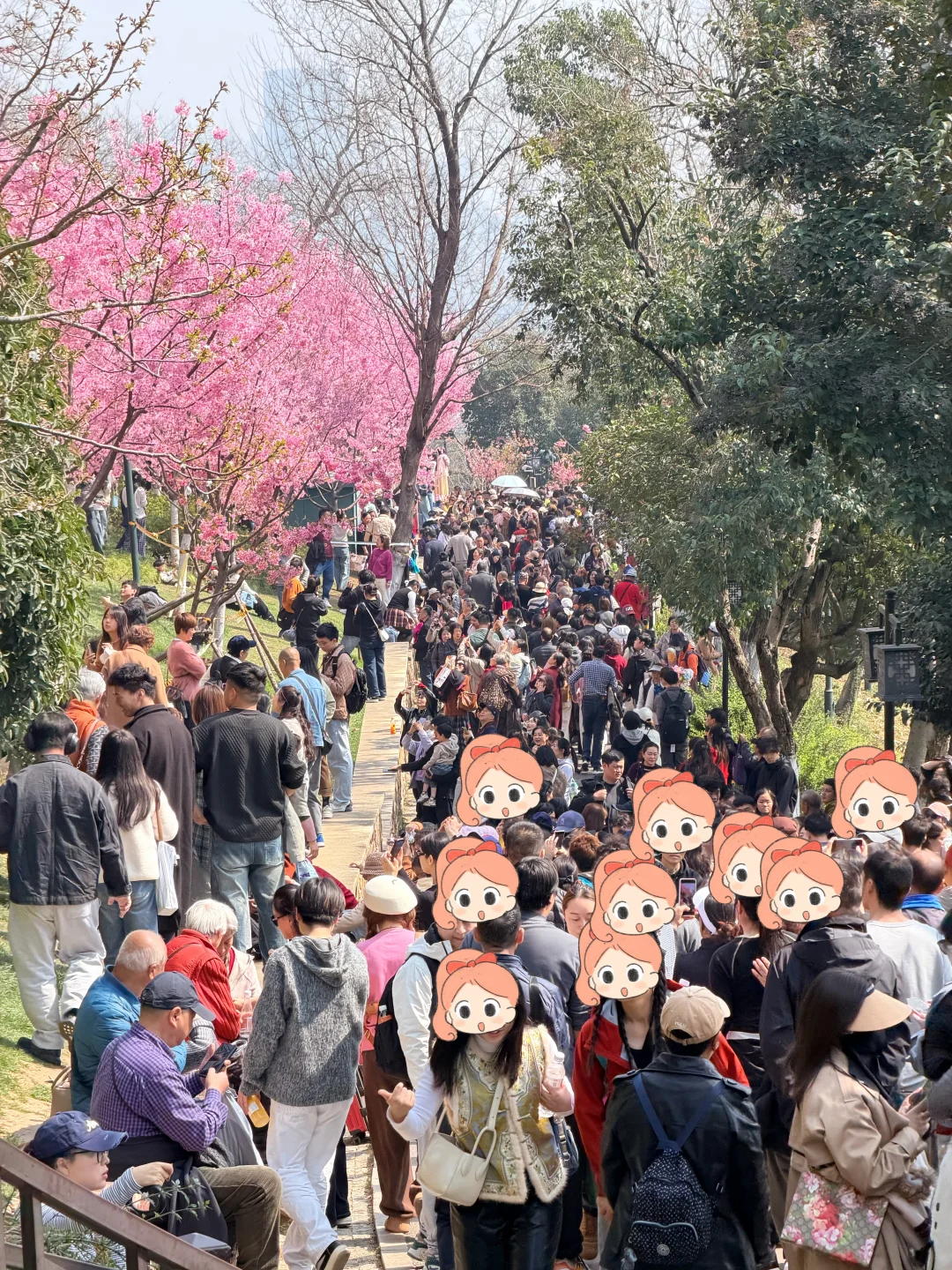 3.12实况‼️大家都跟我一样失业了吗？😂😂😂