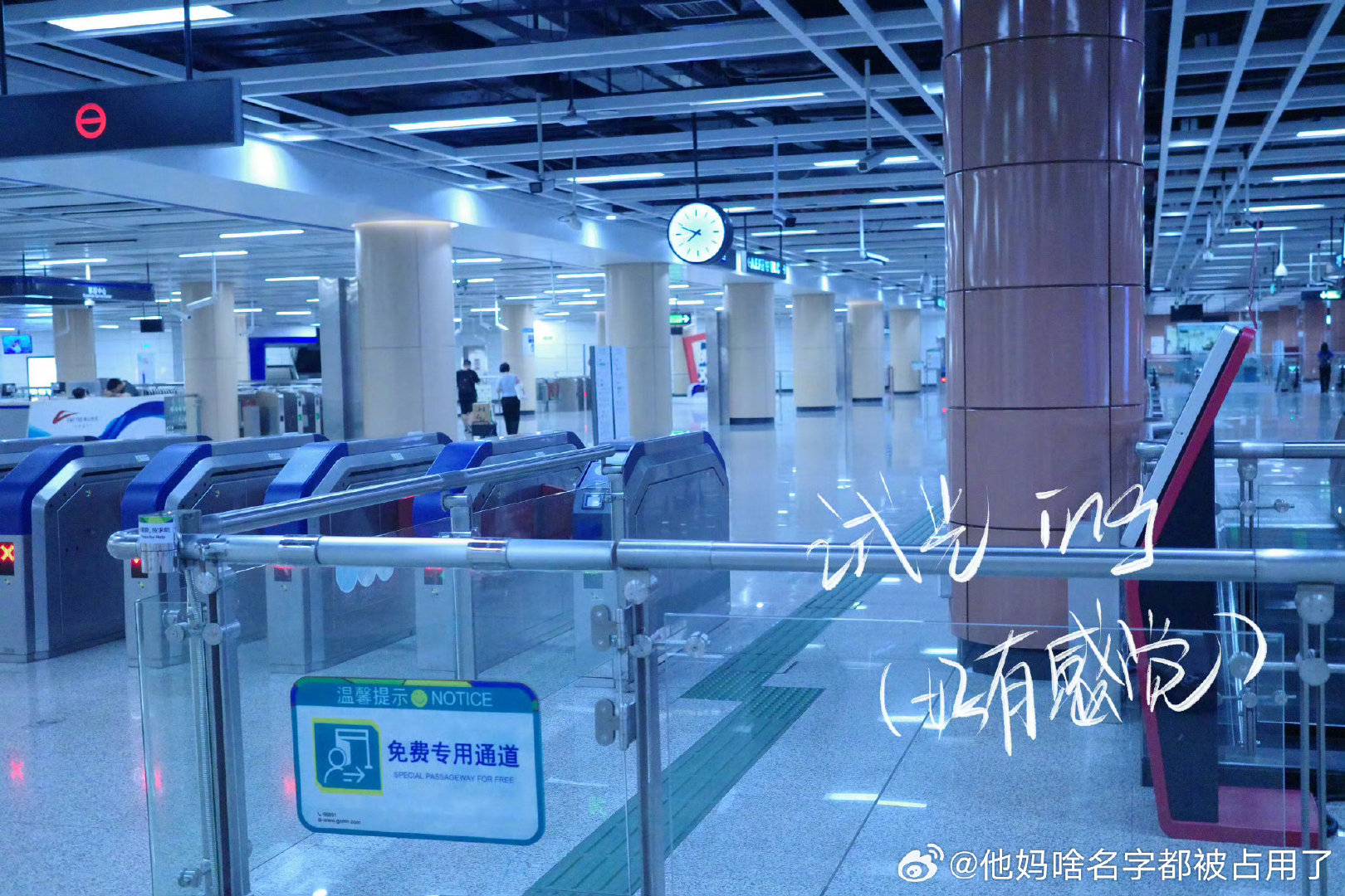 来我的主页看看我的精选照片吧白鹿你要好好爱自己 ​