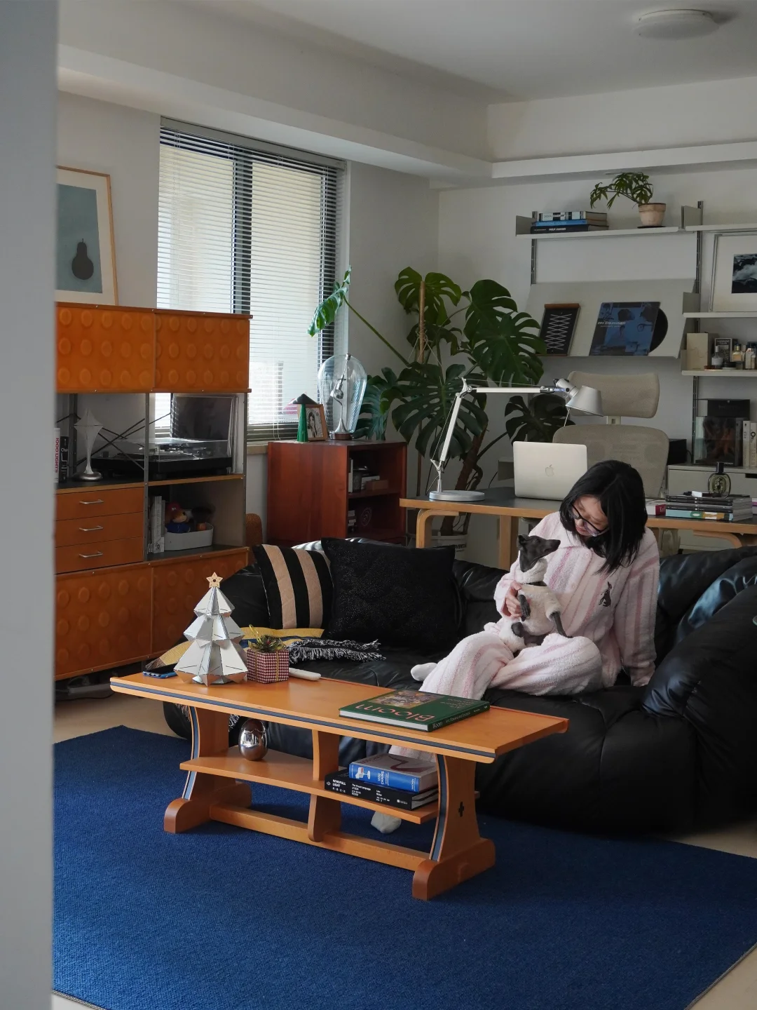 12月末的一组晴天