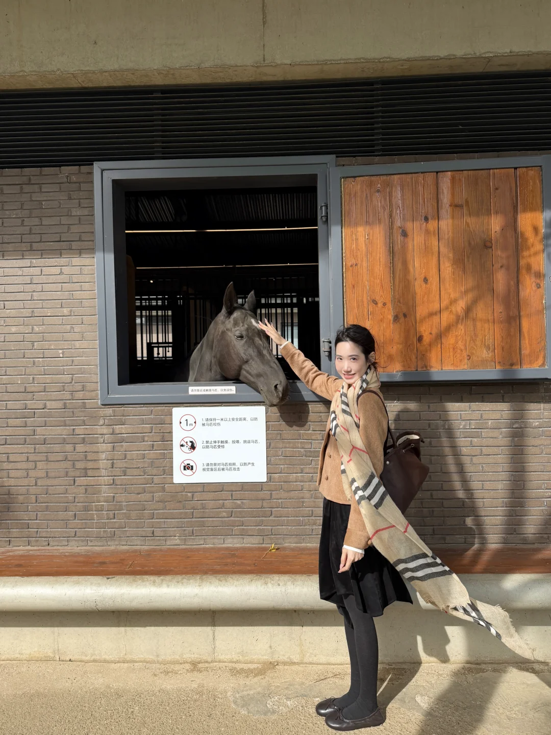 小🐴泥嚎～