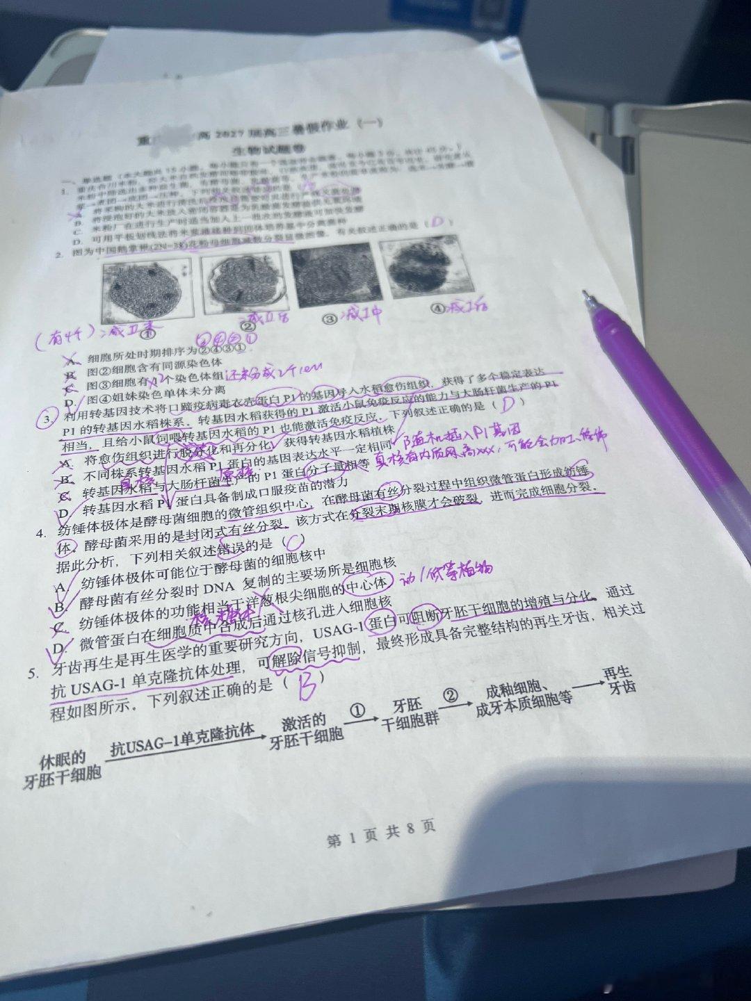 同学们卷起来吧[蜘蛛侠4] ​
