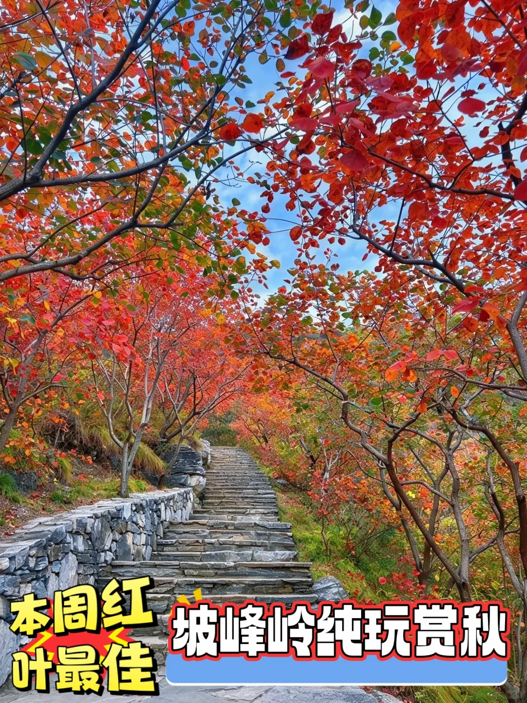 收藏！坡峰岭红叶季出片机位地图
