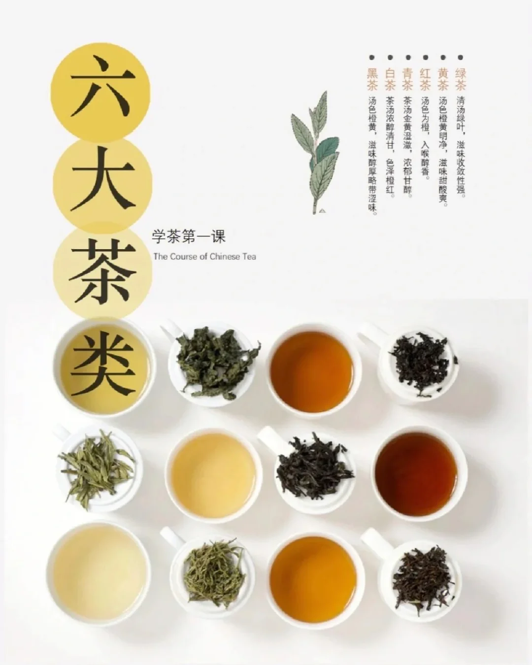 1张图迅速看懂六大茶类，再也不会分不清了
