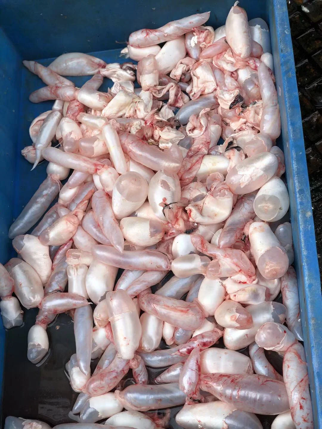 你们知道图一这个鱼泡儿怎么做好吃吗