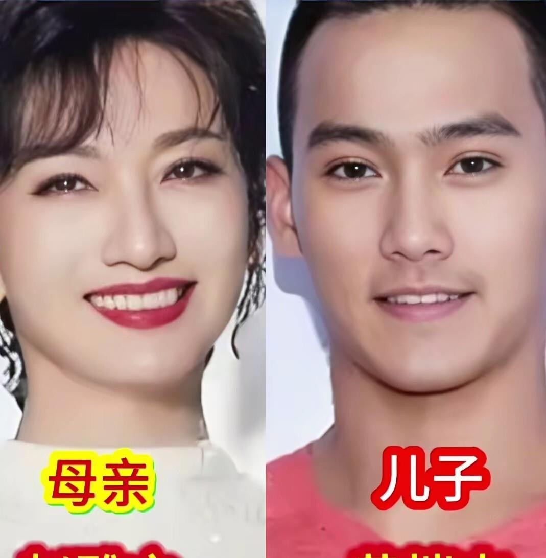 赵雅芝和黄恺杰、陈红和陈飞宇这几对母子往那一站，基因的厉害一眼就能看出来。黄恺杰那眉眼，活脱脱就是年轻版赵雅芝的翻版；陈飞宇那股清秀劲儿，也明显带着陈红当年的影子。呼延生和屠洪刚、奚美娟和奚男、曹颖和王梓涵、胡可和沙俊伯、董洁和顶顶，这些母子同框时，神态里的相似根本藏不住。说到底，儿子像妈这事儿不光