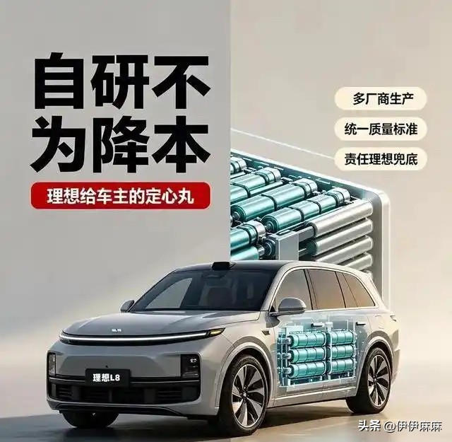 DeepSeek预测，未来五年，国内动力电池厂商生存概率：

1，宁德时代——生存概率100%

2，比亚迪——生存概率100%

3，中创新航——生存概率100%

4，国轩高科——生存概率100%

5，欣旺达——生存概率100%

放弃宁德时代，选择自研电池。理想早在2020年便启动电芯自主研