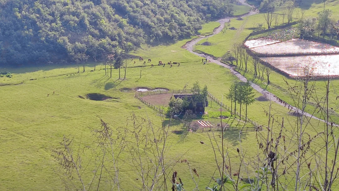 某百万粉丝网红的家，真的好会挑啊