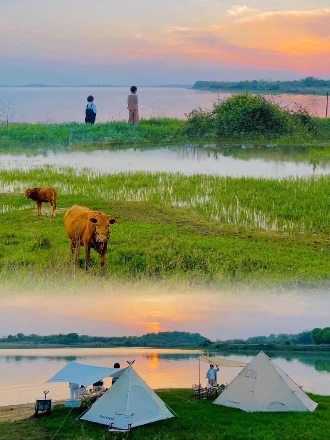 武汉露营⛺️1%人知道的看落🉑️过夜野营地