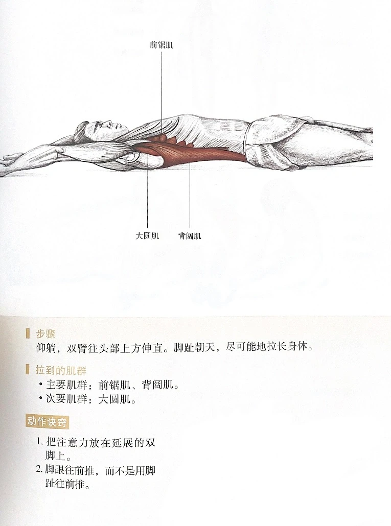 🏃‍♀️平躺如何拉伸背阔肌？