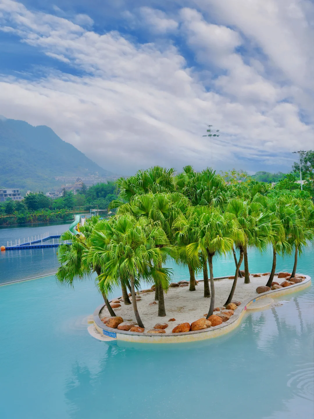 不在国外🌴在广州！三刷森林海，攻略直接抄
