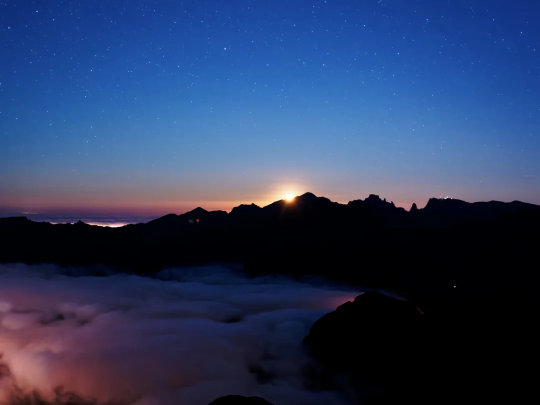 试试不加tag会推给哪些SBTI