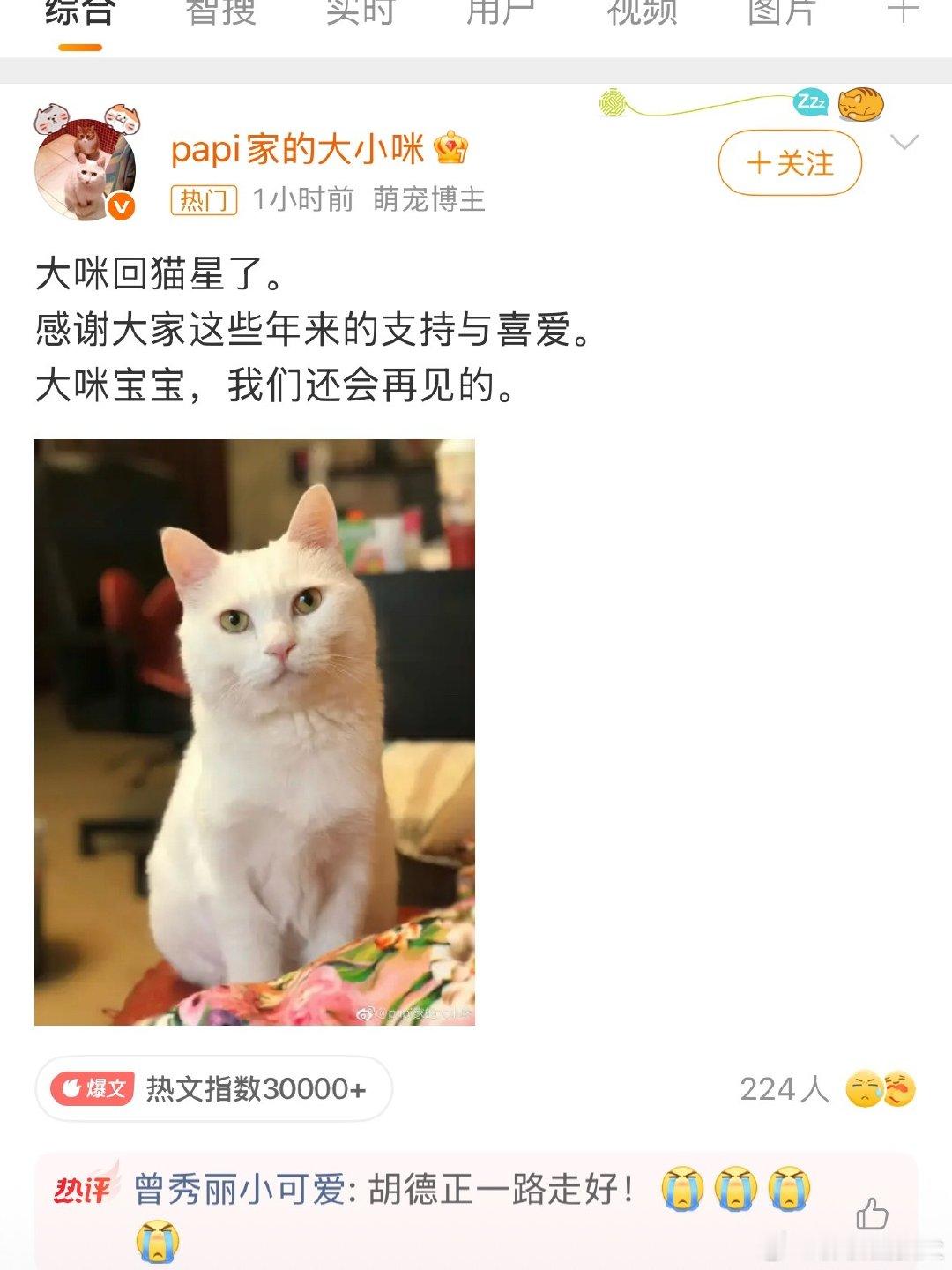 #papi家的大咪回喵星了#
说实话大咪也治愈了很多网友吧，它的出现可能也会帮助很多在边缘的人，真的是很棒的小猫，希望喵星也有像 papi 一样爱你的人哦！！ ​