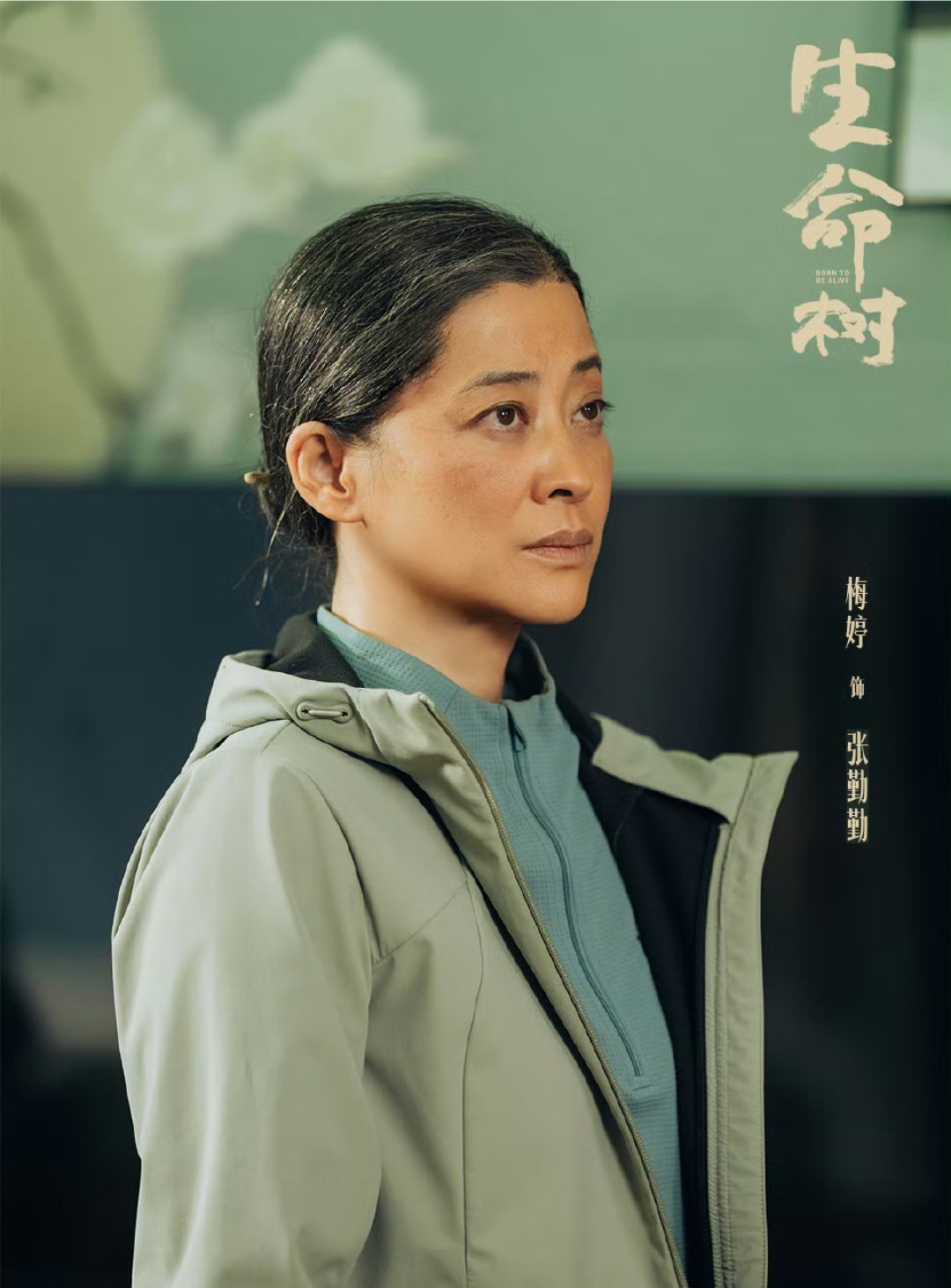 第33届中国电视金鹰奖最佳女配角：梅婷《生命树》。有点没想到，还以为是蒋欣和迟蓬之间的一位呢。