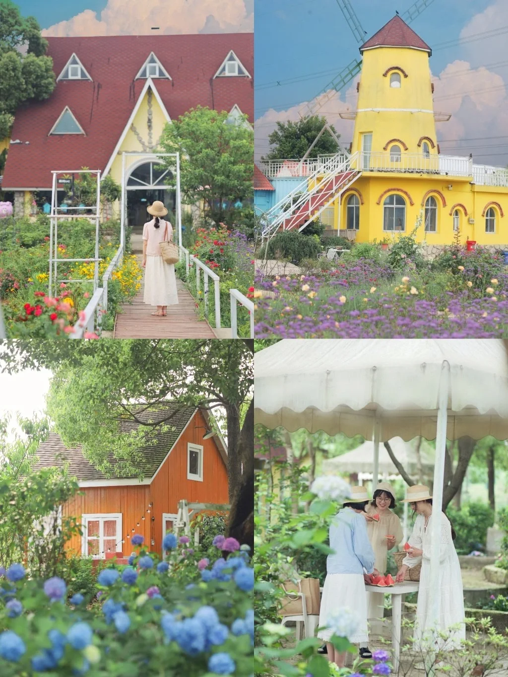 不出武汉就能拍南法庄园❗️绣球花海美哭了